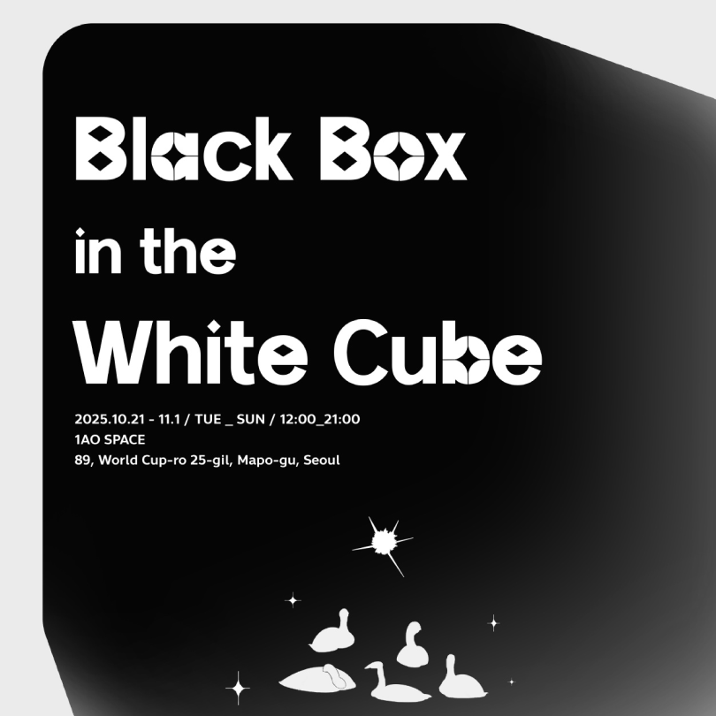 《Black Box in the White Cube》 Darkness is not an absence — it’s the beginning of a new way of seeing.